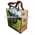 Various Styles Customer Design Pp Non-Woven Bag